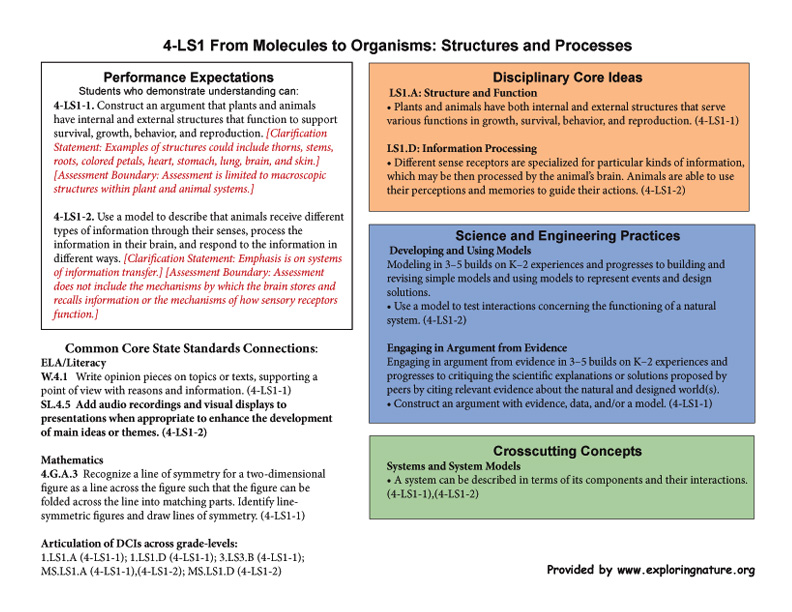 Grade 4 - 4-LS1 From Molecules To Organisms: Structures And Processes